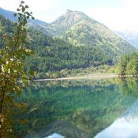 專注入境旅游業(yè)務(wù)，打造卓越旅行體驗(yàn)