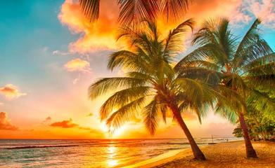 旅游綠皮書 2019~2020年中國(guó)國(guó)內(nèi)旅游業(yè)務(wù)發(fā)展分析與預(yù)測(cè)